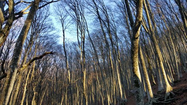 20151227_153813